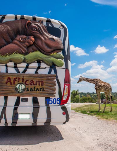 Africam Safari